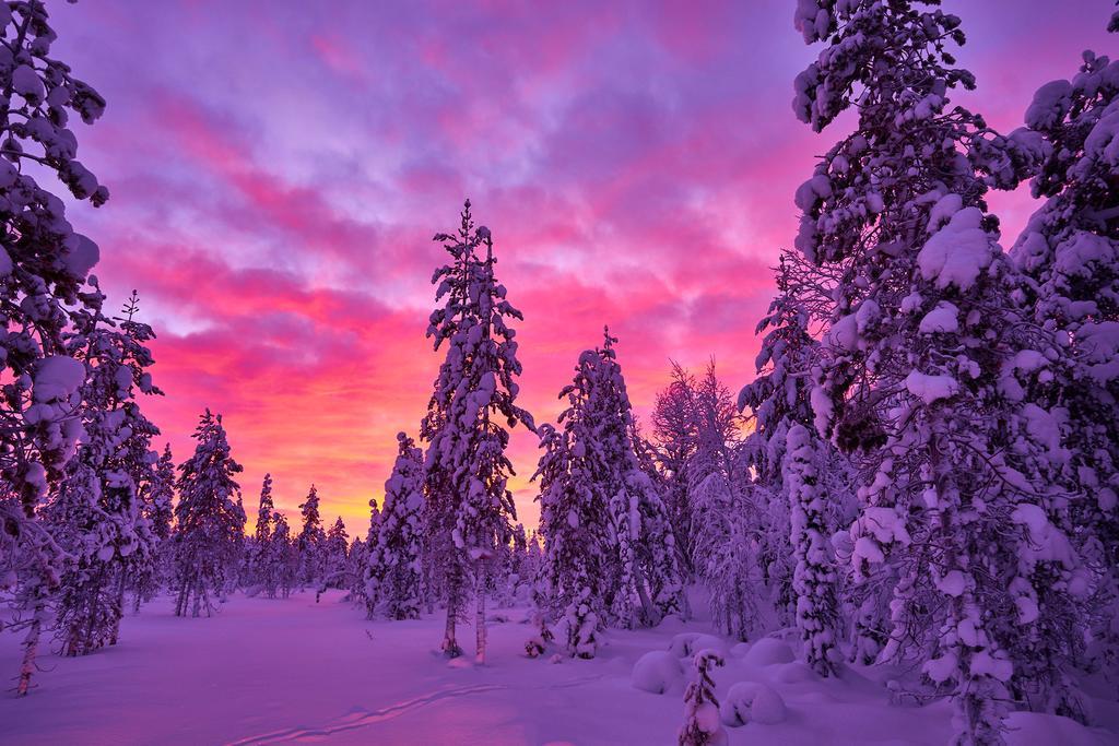 Lapland Guesthouse Kangos ภายนอก รูปภาพ