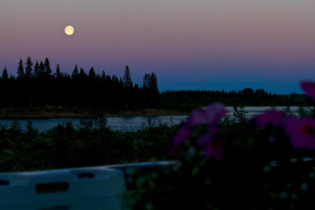 Lapland Guesthouse Kangos ภายนอก รูปภาพ