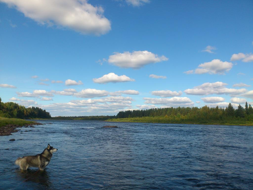 Lapland Guesthouse Kangos ภายนอก รูปภาพ